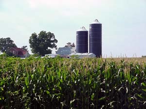 Agricultural Buildings